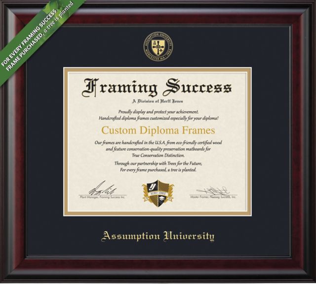 Assumption University Classic 11 x 14 Diploma Frame