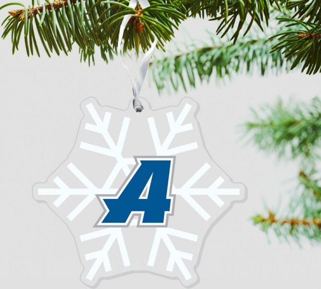 ORNAMENT 3x4 ETCH/CLEAR/    ./