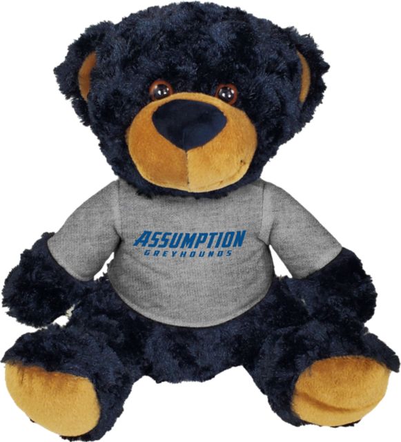 Assumption University 10 in. Plush Bear