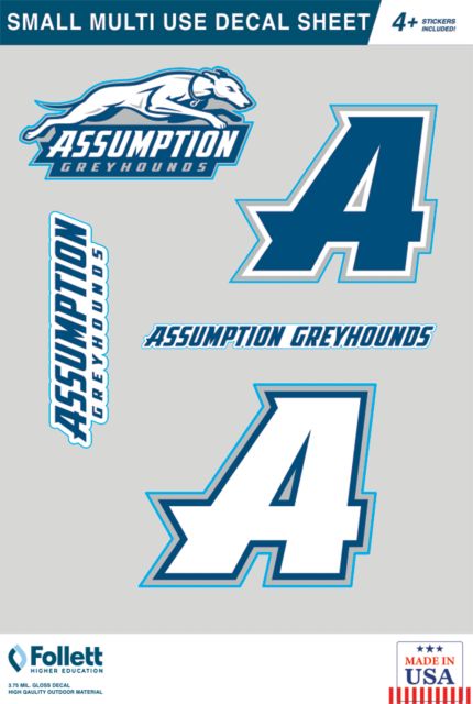 Assumption Large Multi Use Decal Sheet Assumption Sticker Sheet - ONLINE ONLY