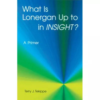 What is Lonergan Up to in Insight?