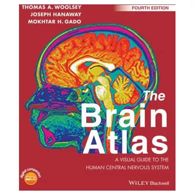 The Brain Atlas