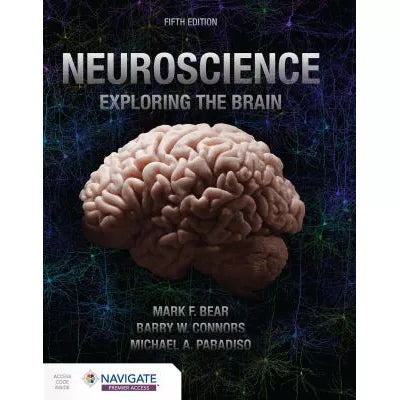 Neuroscience: Exploring the Brain